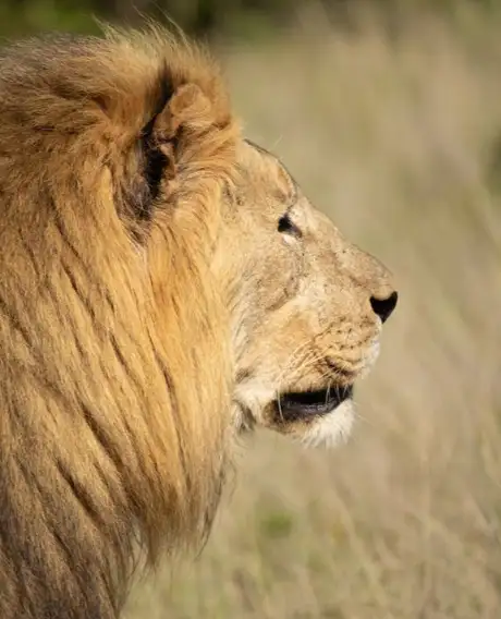 Akagera National Park