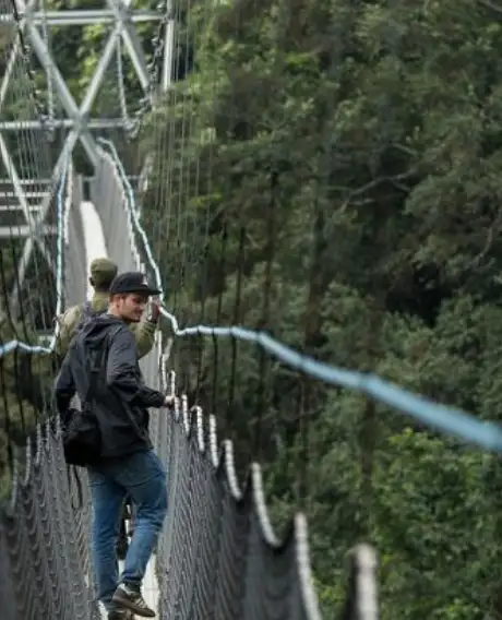 Nyungwe National Park