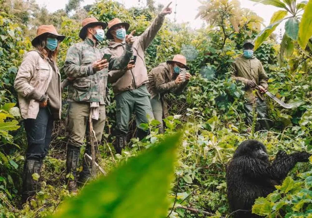 3DAY-Bwindi National Park - Gorilla Trekking