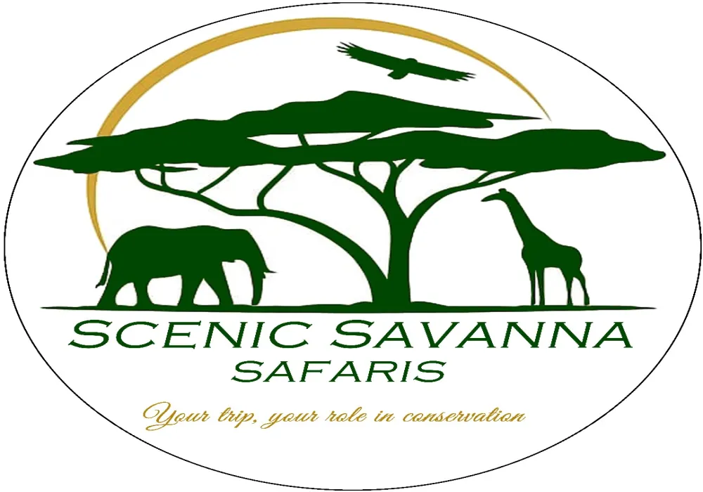2- Day Private tour Akagera National Park, Night Game drive and Boat ride